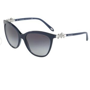 Tiffany & Co Sunglasses TF4131HB